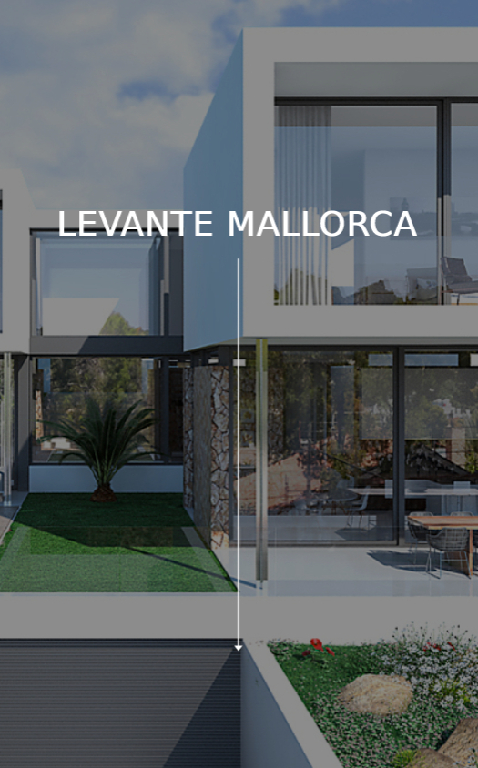 LAVANTE MALLORCA CM