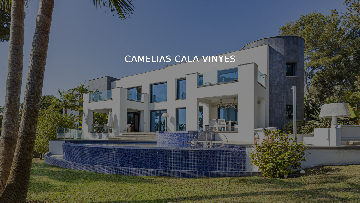 CAMELIAS CALA VINYES